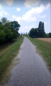 Vista Panoramica Ciclismo Colli Euganei