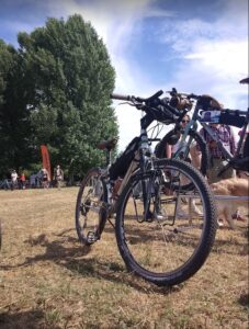 Panorama del Fiume Po lungo il percorso ciclabile Ferrara-Mantova