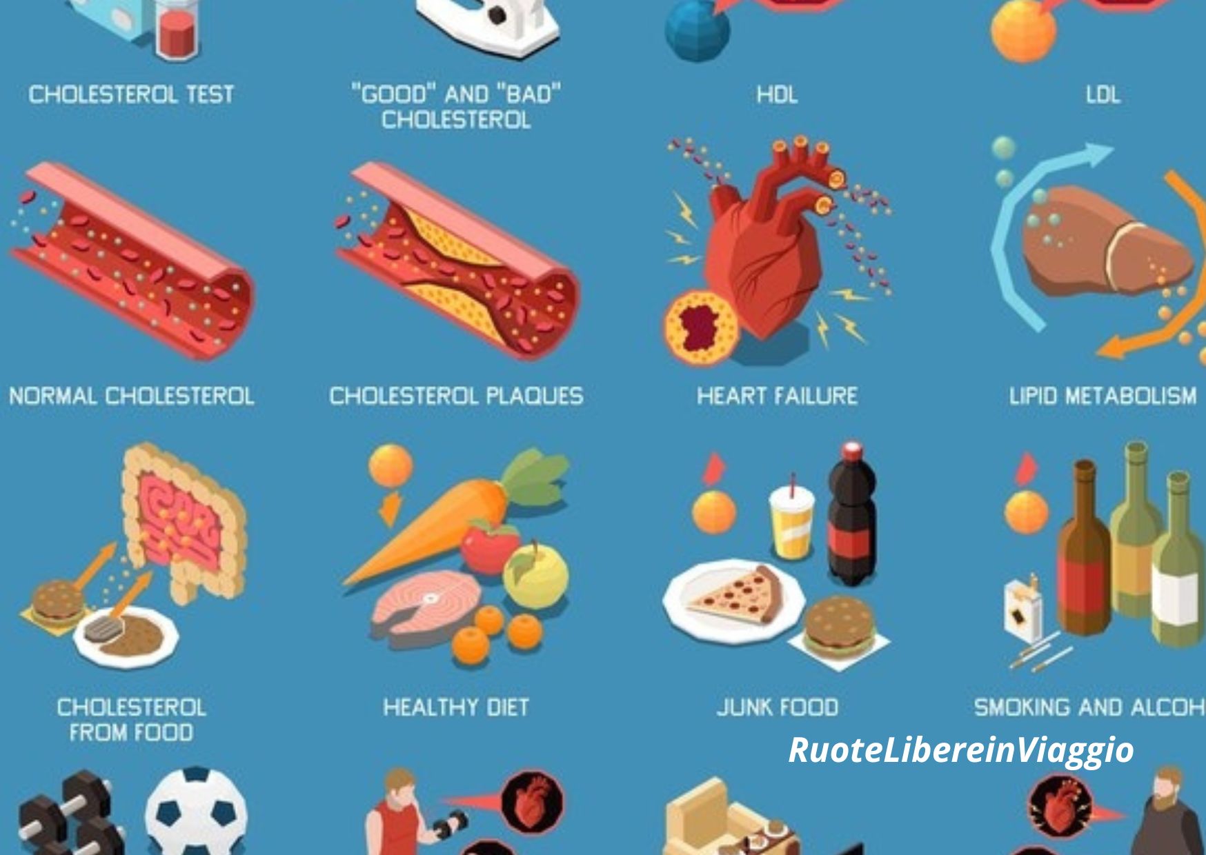 Sbloccare metabolismo dimagrire consigli Cibi ricchi di proteine per un metabolismo sano