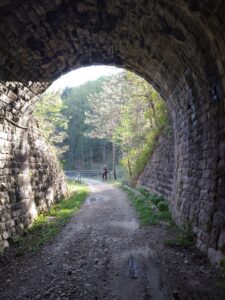 un viaggio nella natura selvaggia