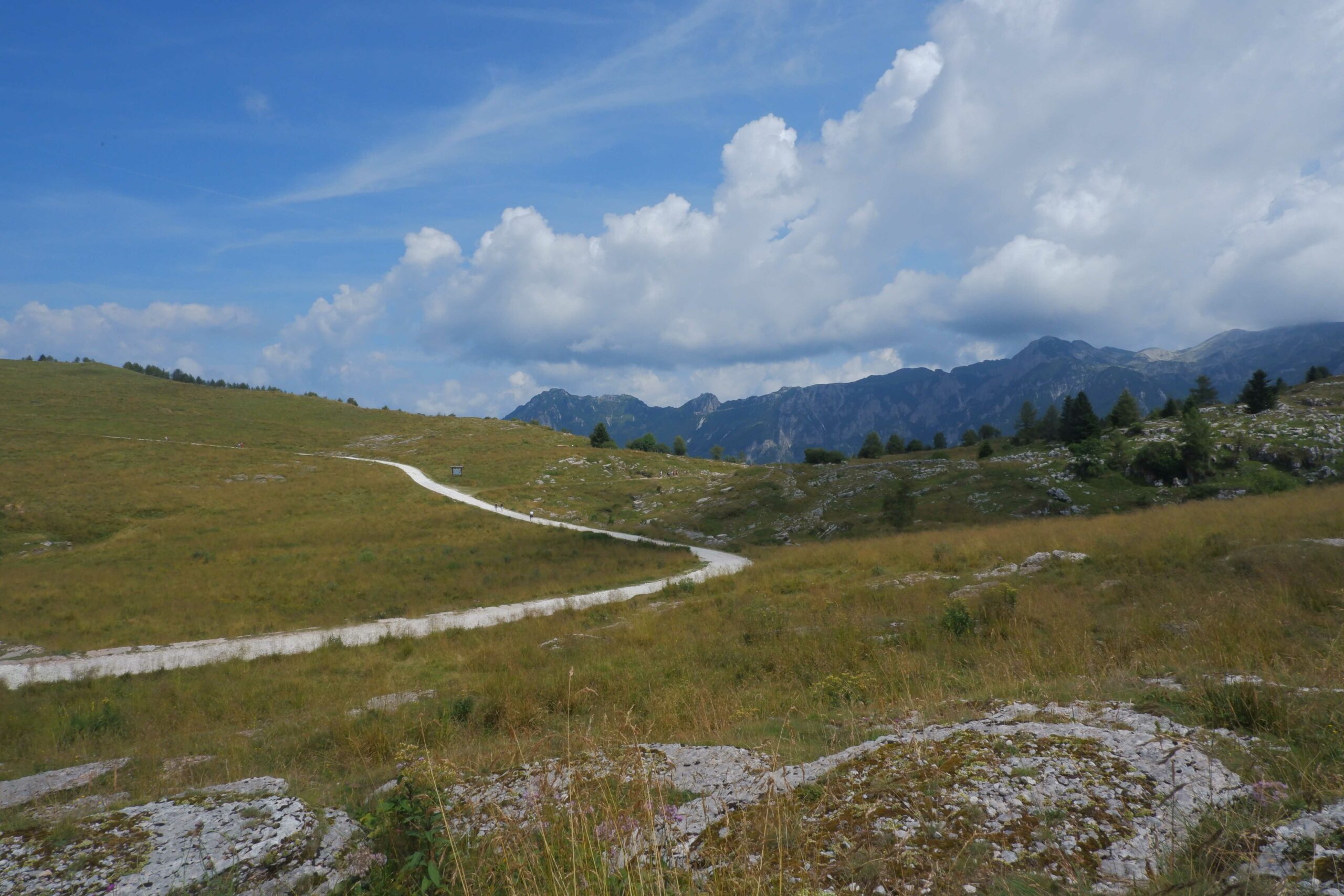 TransLessinia in bici