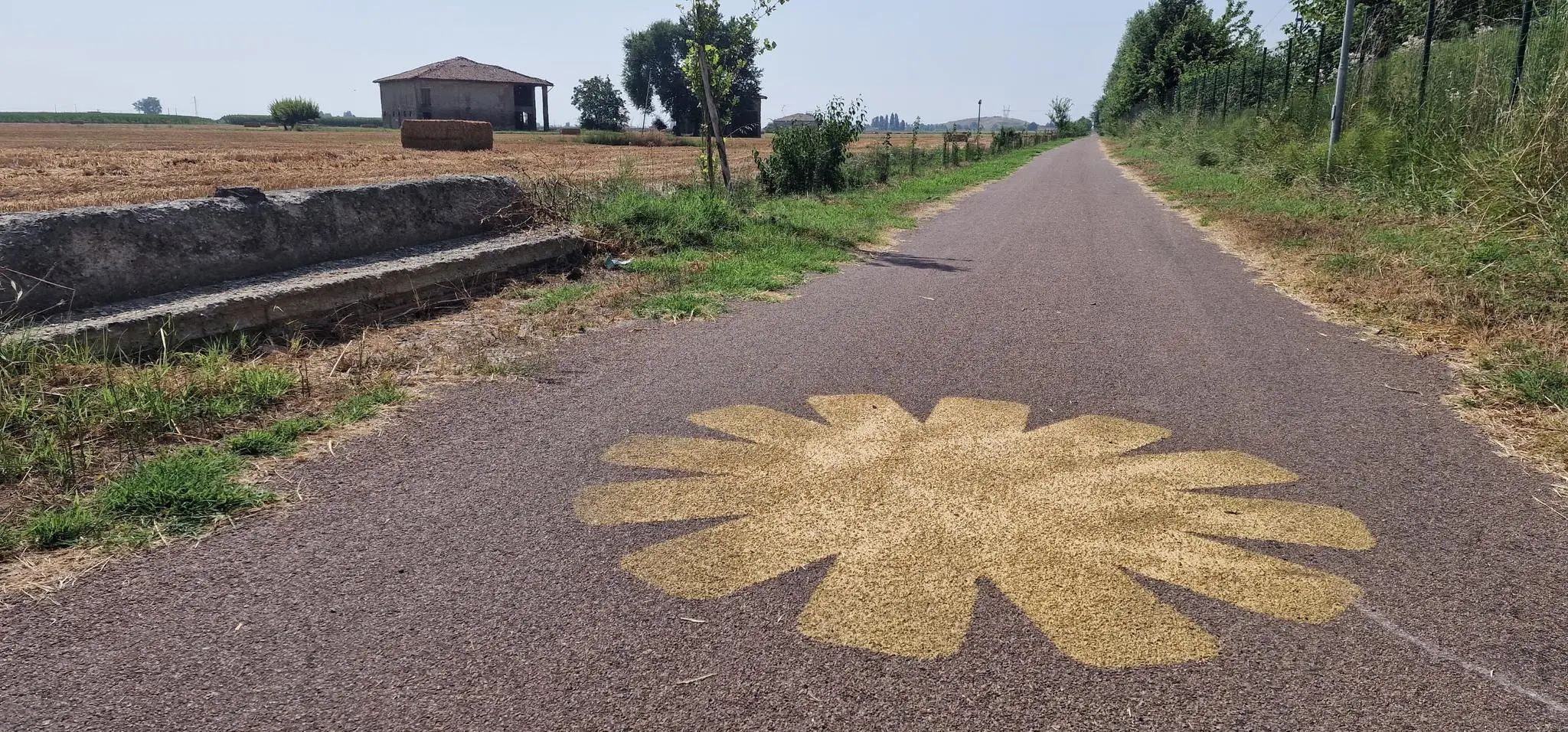 da mirandola a bologna ciclabile del sole