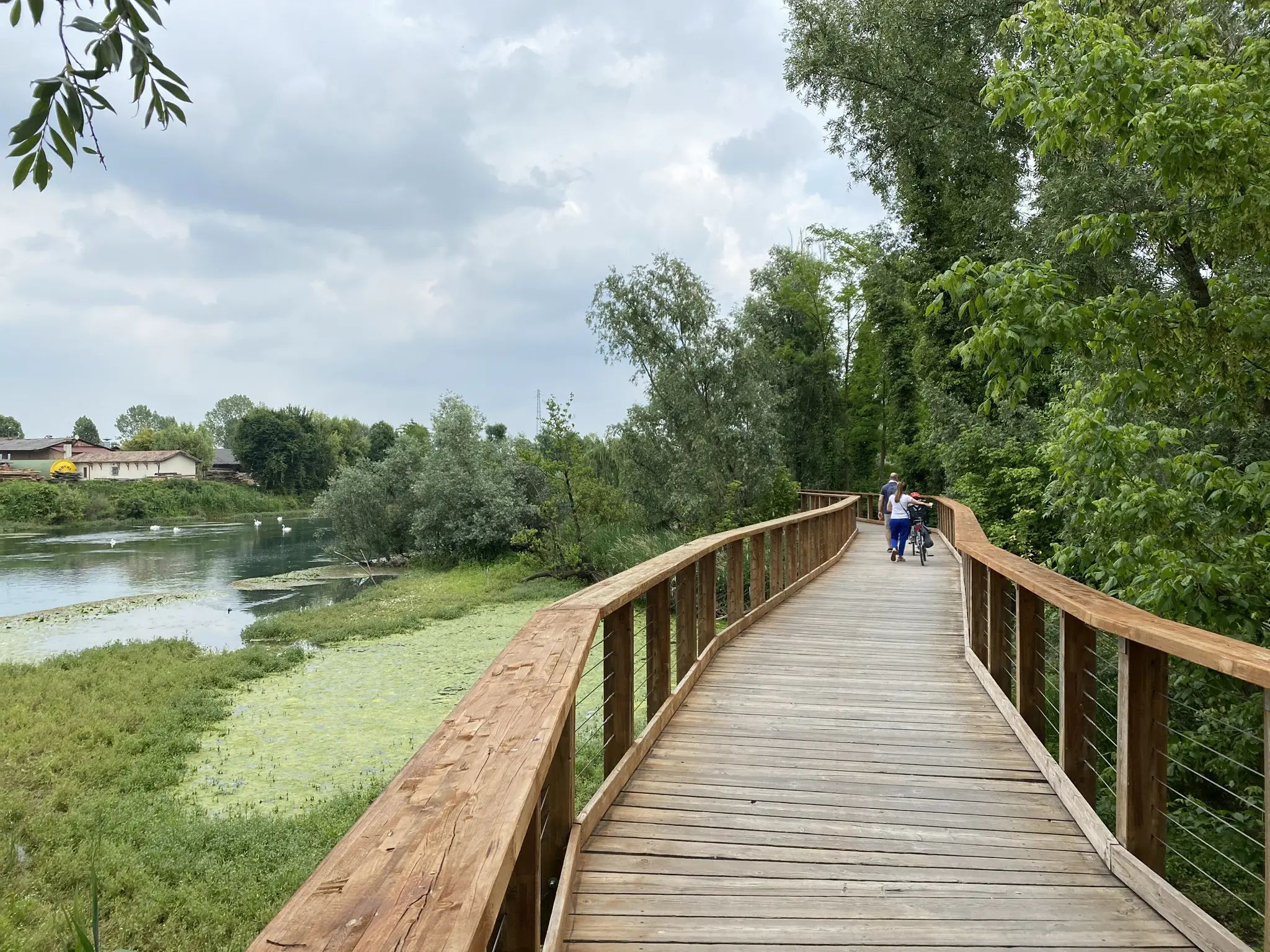 in bici lungo il Sile con i bambini