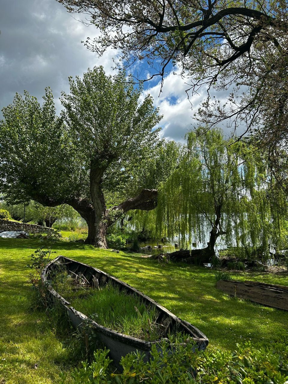 Itinerario cicloturistico Valpolicella Mantova tra lago e fiume