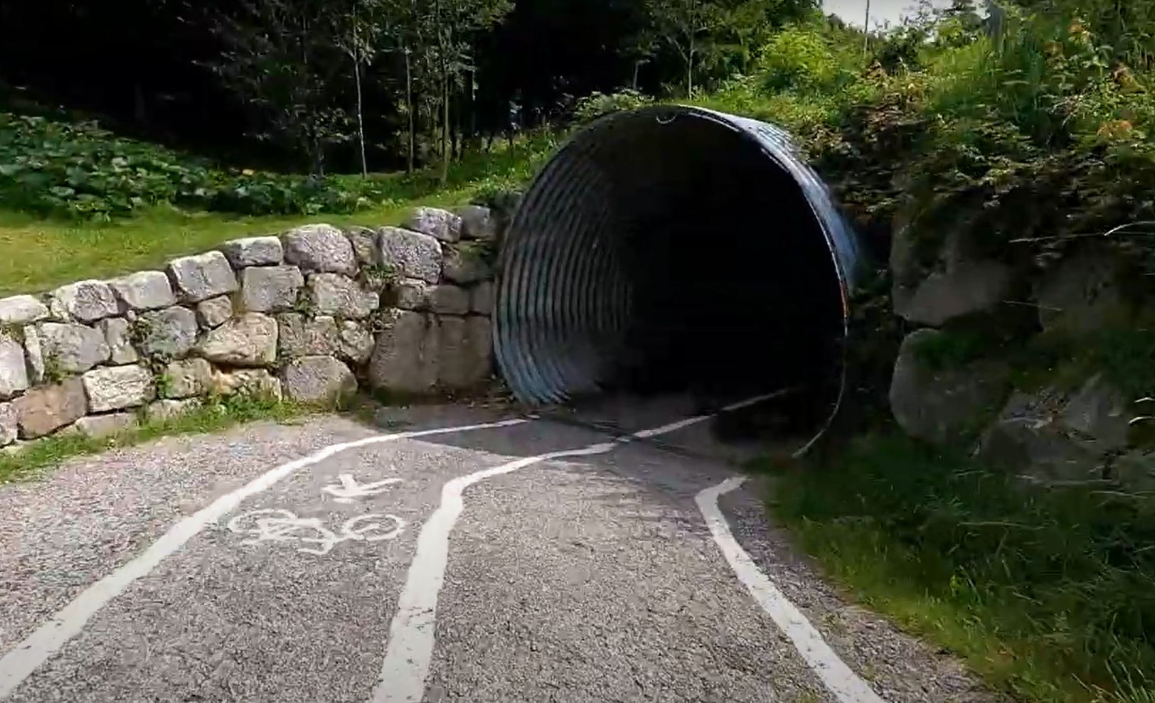 Lunga Via delle Dolomiti in bici
