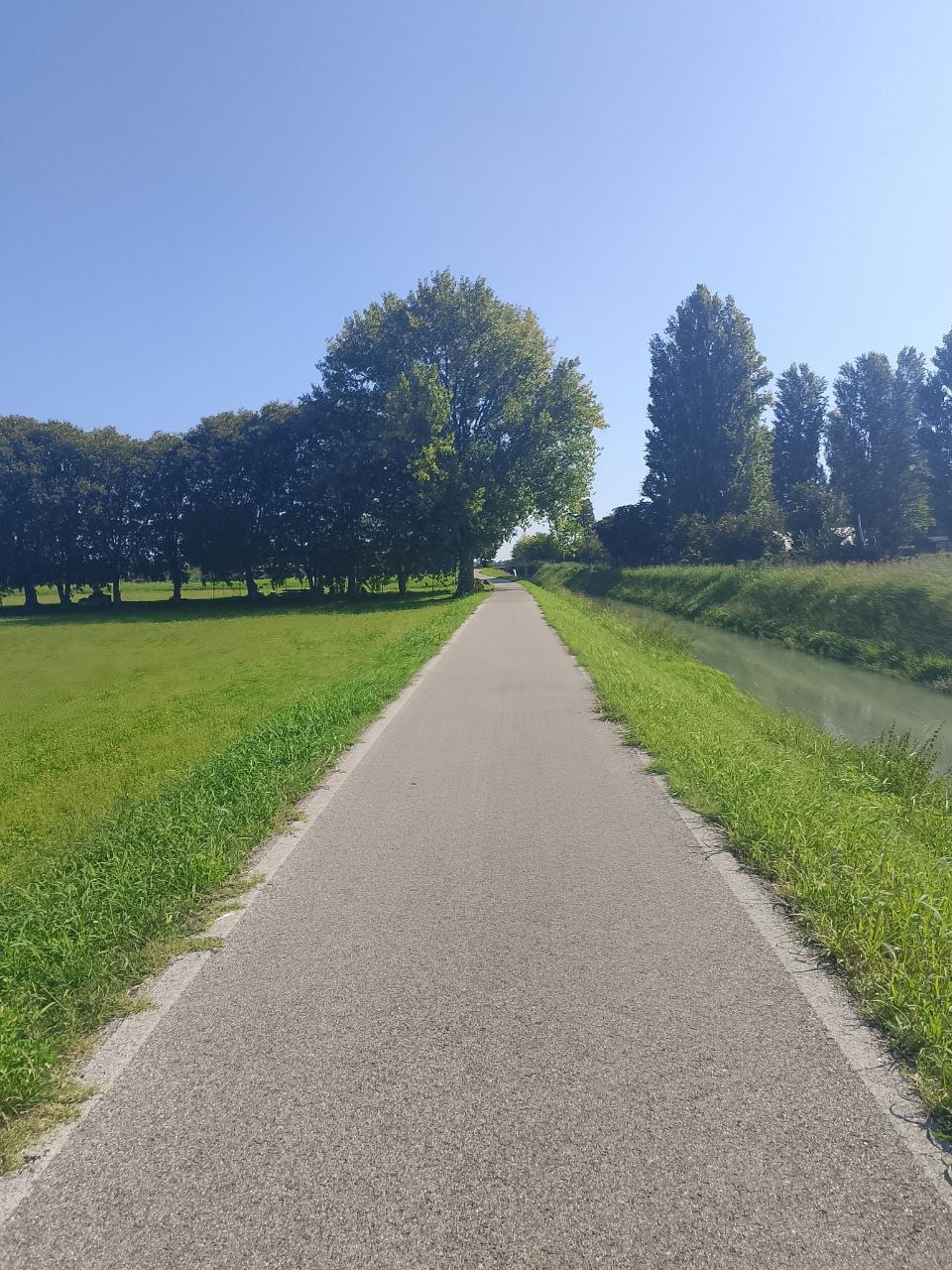 Verona loop